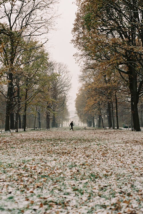 Man at Park in Autumn