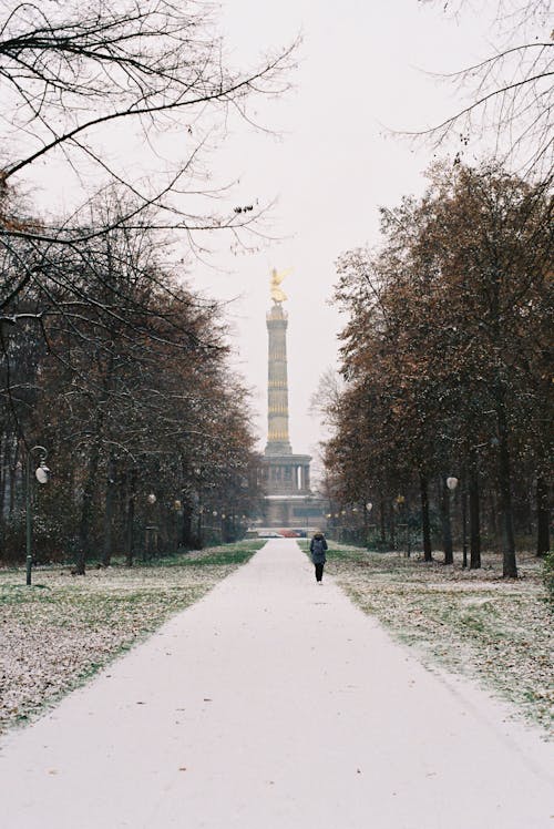 겨울, 공원, 기념물의 무료 스톡 사진