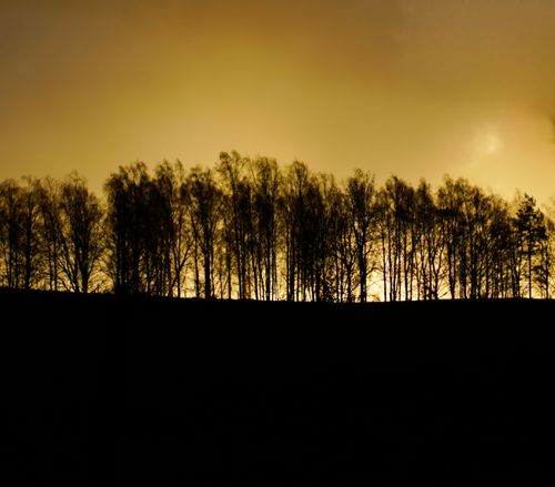 Free A tranquil landscape of silhouetted trees during a golden sunset, evoking a serene mood. Stock Photo