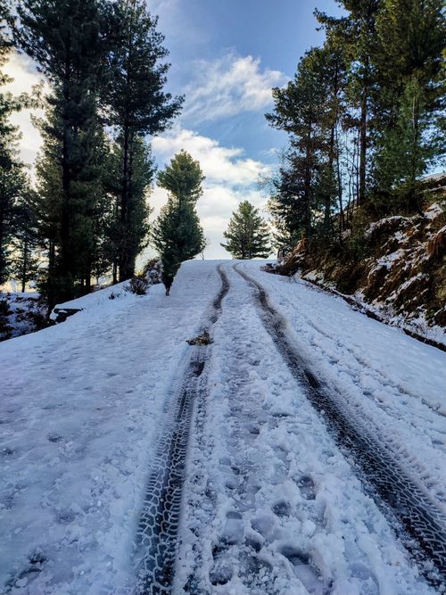 Free A serene snowy road in a forest, showcasing winter's beauty with fresh snow and wheel tracks under a clear sky. Stock Photo