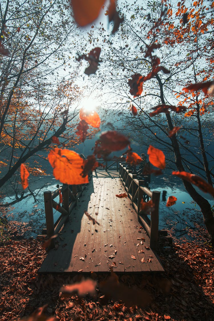 Falling Autumn Leaves Over The Pier On The Lake