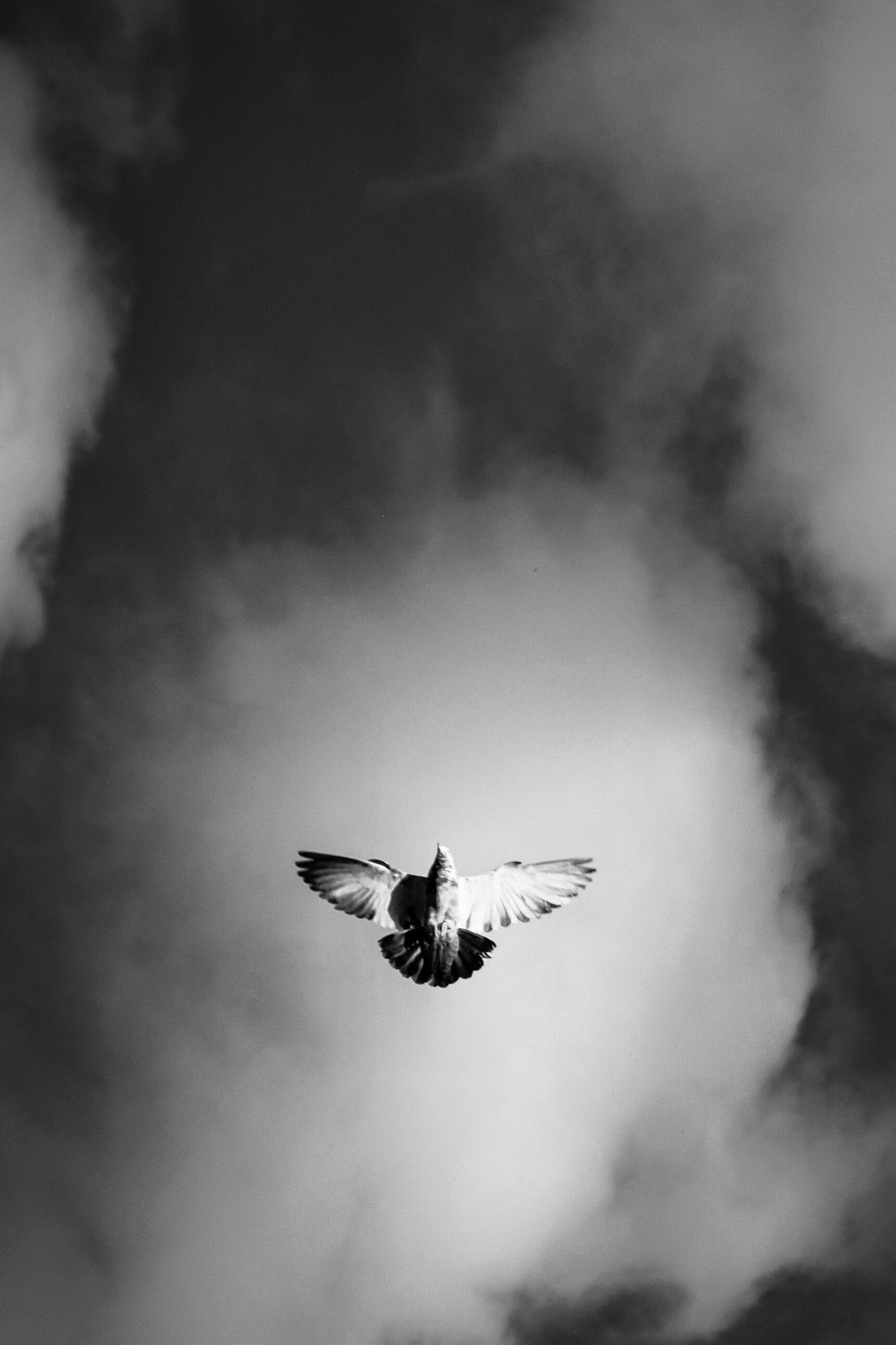 Fotomural Fotolia