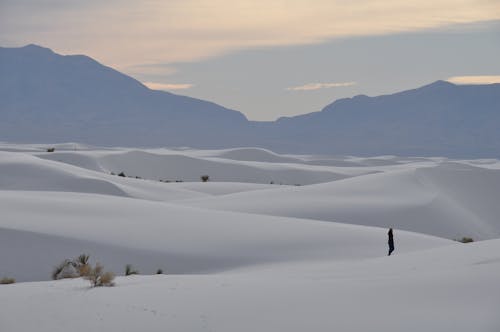 Landscape with Mountains and Dunes