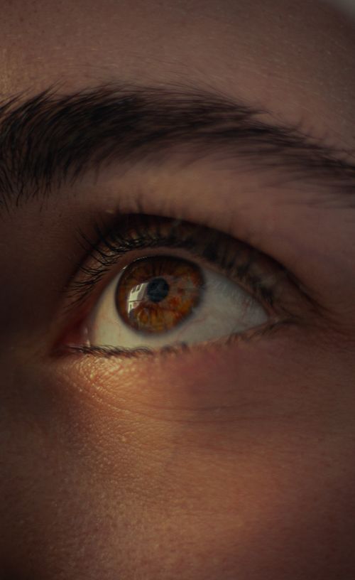 Free Detailed close-up photo of a human brown eye with focused eyelashes and eyebrow texture. Stock Photo