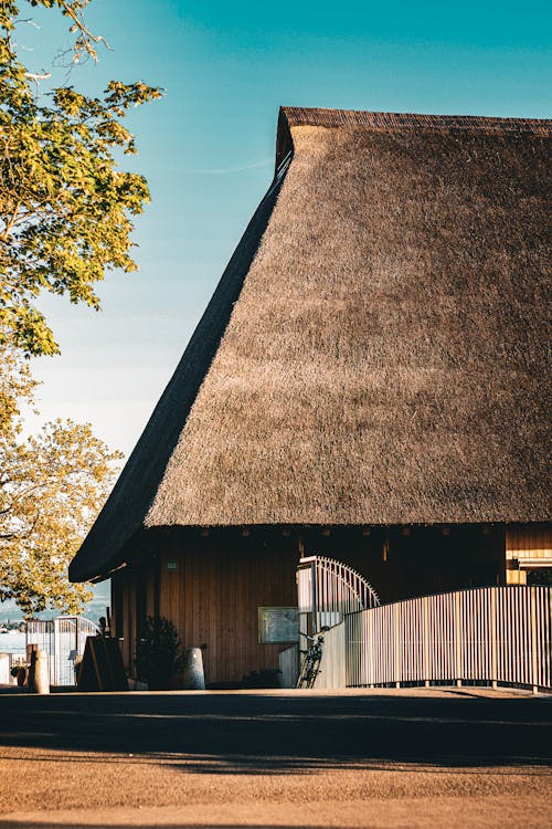 House with Thatched Roof 