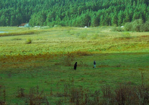 Woman and Man Walking in Field