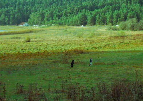 Kostnadsfri bild av bondgård, drönarbilder, fågelperspektiv