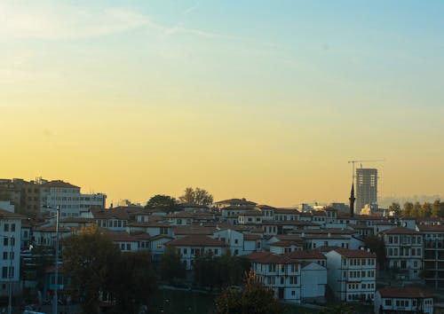 Ingyenes stockfotó buccinasco, este, háttérvilágítás témában