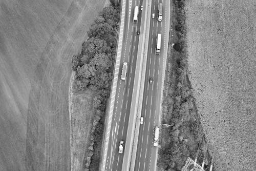Cars on a Road Among Fields in Black and White