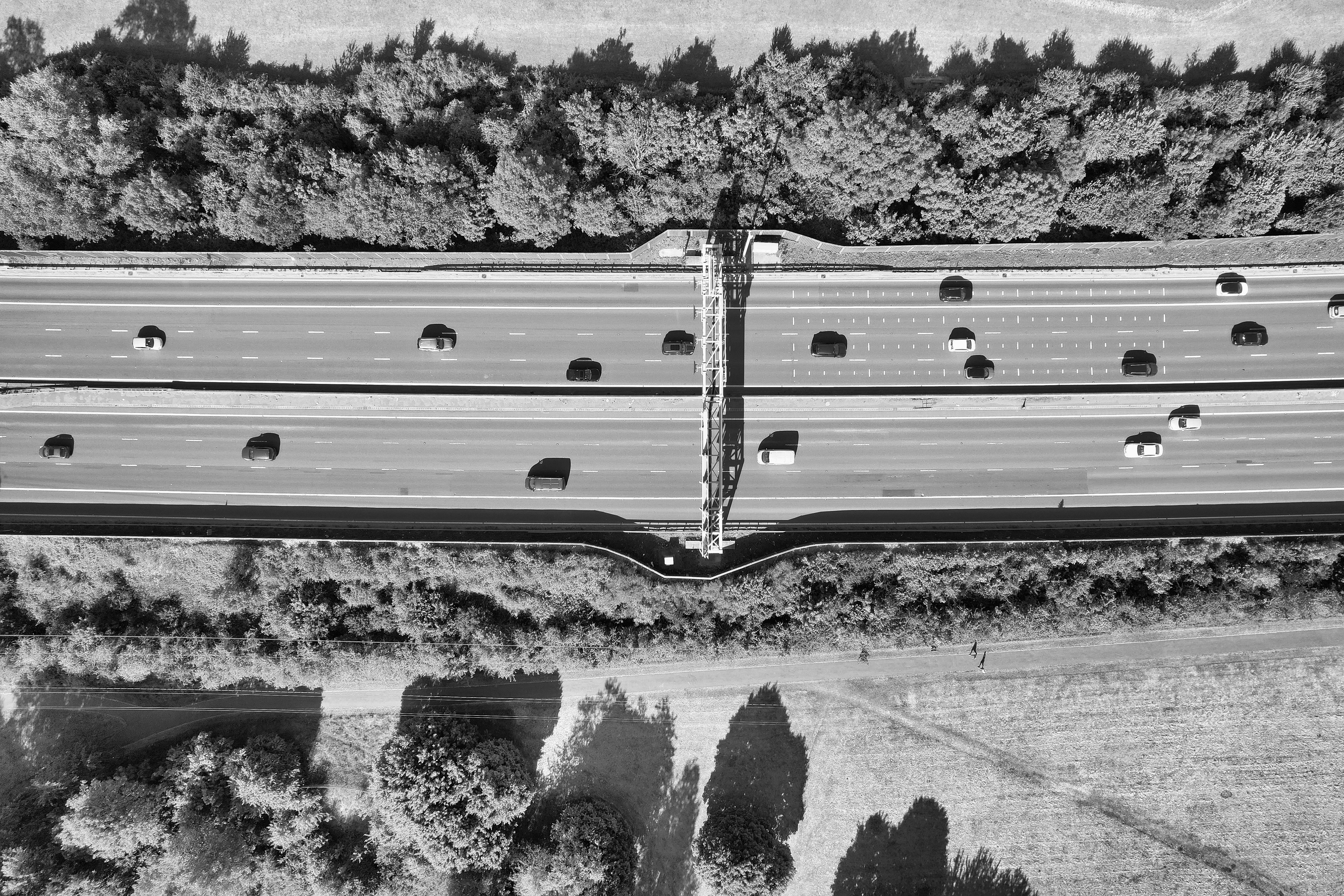 autonomous vehicles — Photo by Altaf Shah on Pexels