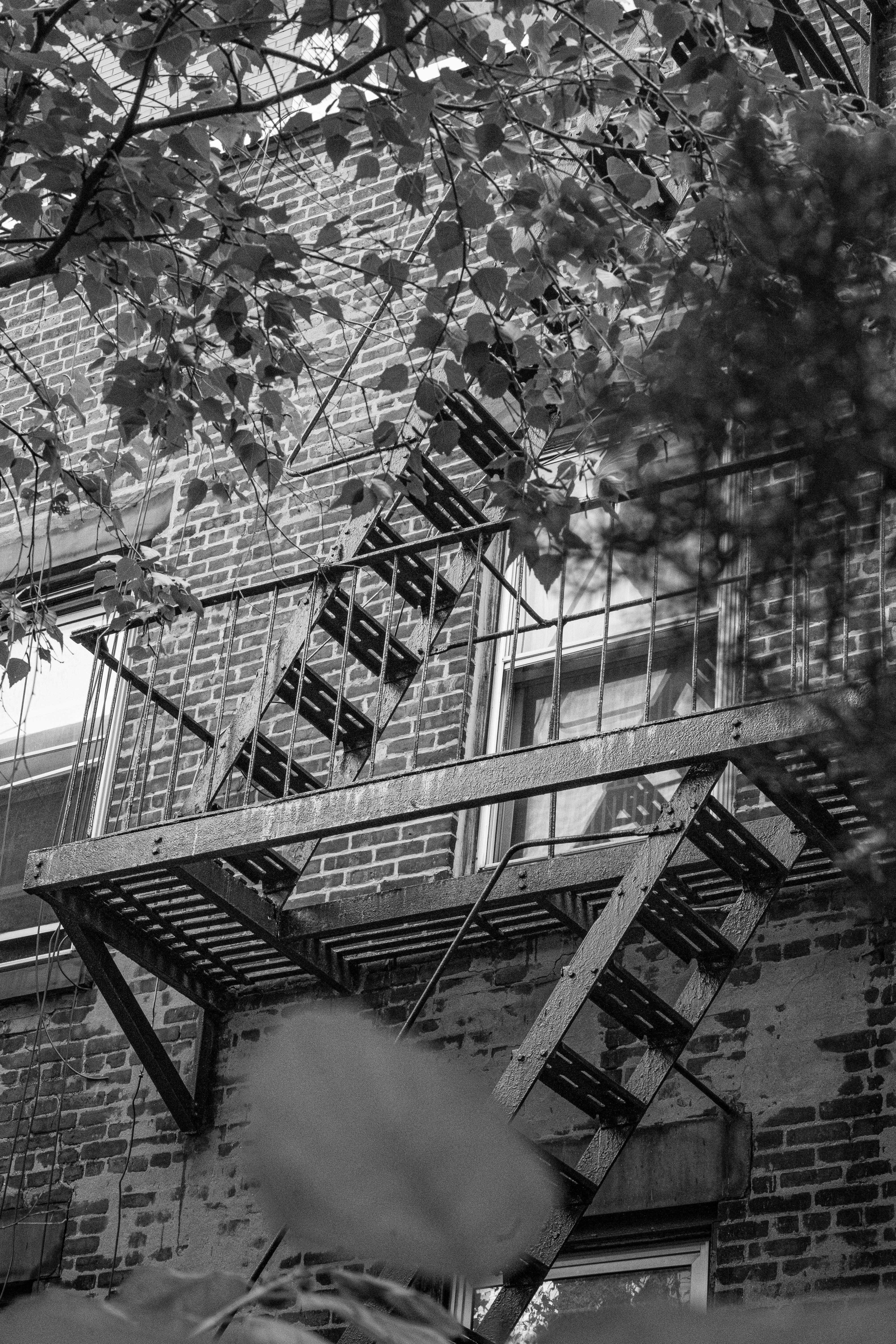 Black and white photograph of a fire escape ladder · Free Stock Photo