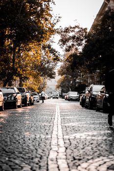 A picturesque city street with cobblestones and autumn foliage, flanked by parked cars.