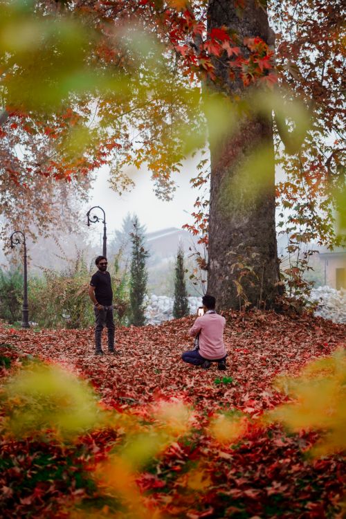 Free Two men engage in a photoshoot amidst vibrant autumn leaves in a park. Stock Photo