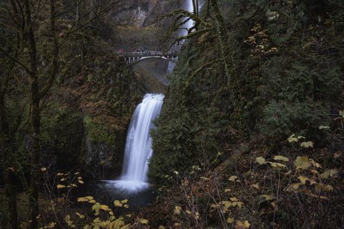 Free Capture of Multnomah Falls cascading through lush greenery in Oregon during fall season. Stock Photo