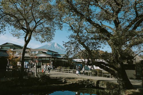 A Park and a Building with the View of Mount Fuji in Japan 
