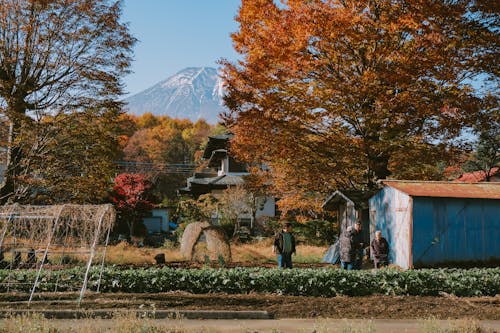 People Working in the Field in the Countryside in Autumn 