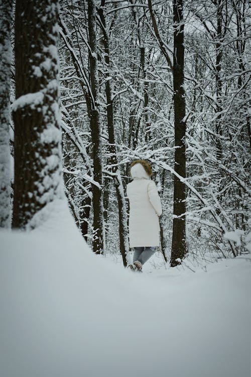 Back View of a Person Walking in a Snowy Forest 