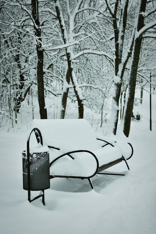 Park Bench and a Trash Can Covered with a Thick Layer of Snow