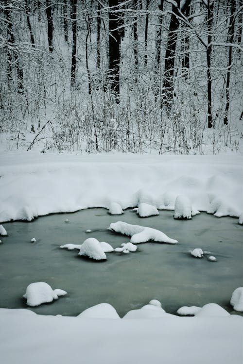 Fotobanka s bezplatnými fotkami na tému chladný, jazero, ľad