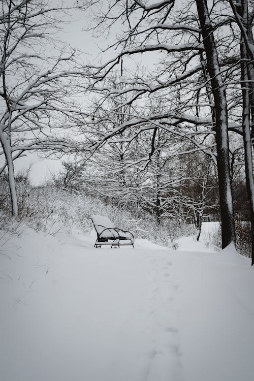 Park Bench Covered with a Thick Layer of Snow