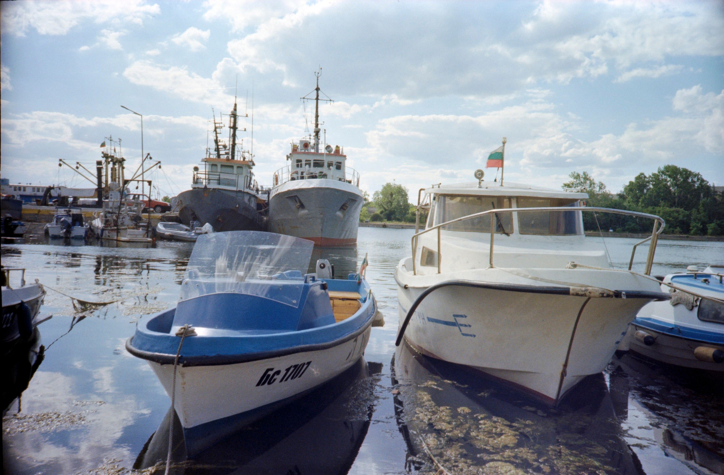 A group of boats are parked in a dock · Free Stock Photo