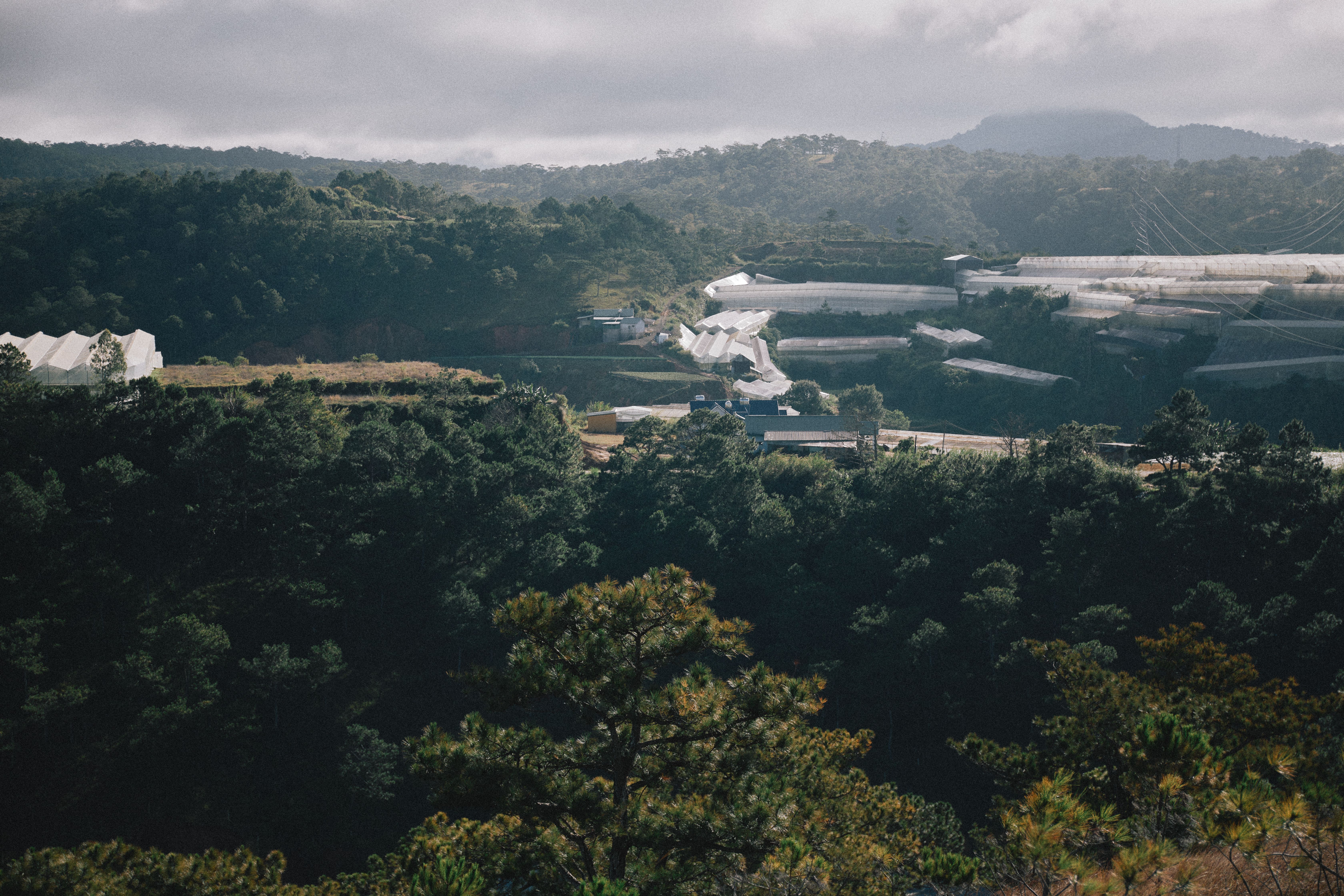 A serene view of a mountain valley with greenhouses amidst lush forests and mist.