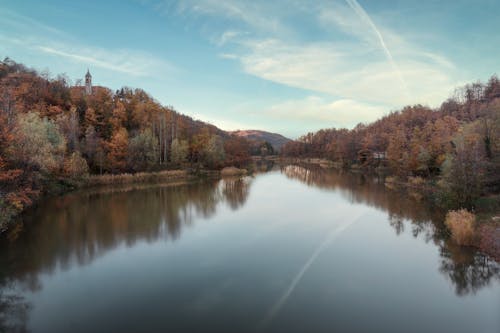 Foto profissional grátis de água, árvores, declínio