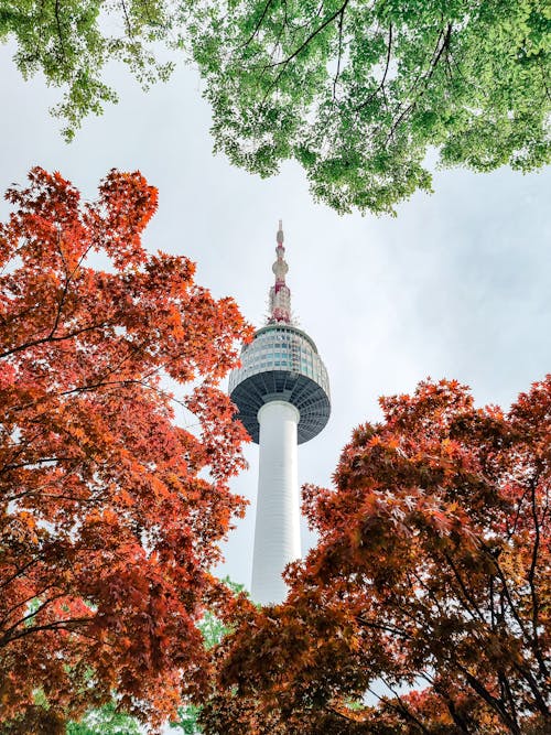 Ingyenes stockfotó Dél-Korea, namsan, namsan-torony témában