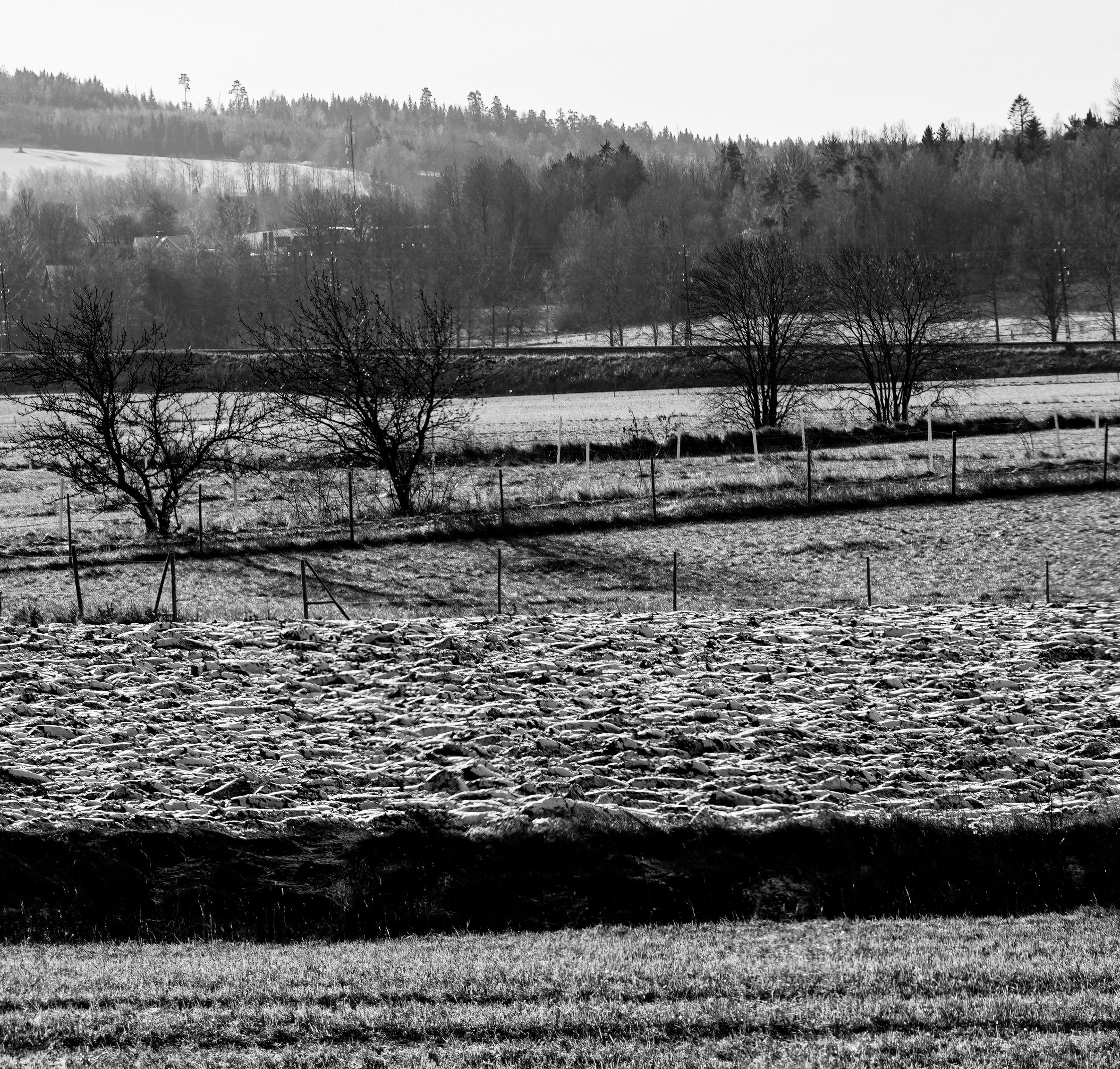 Strukturierte Linien im Landschaftsbild