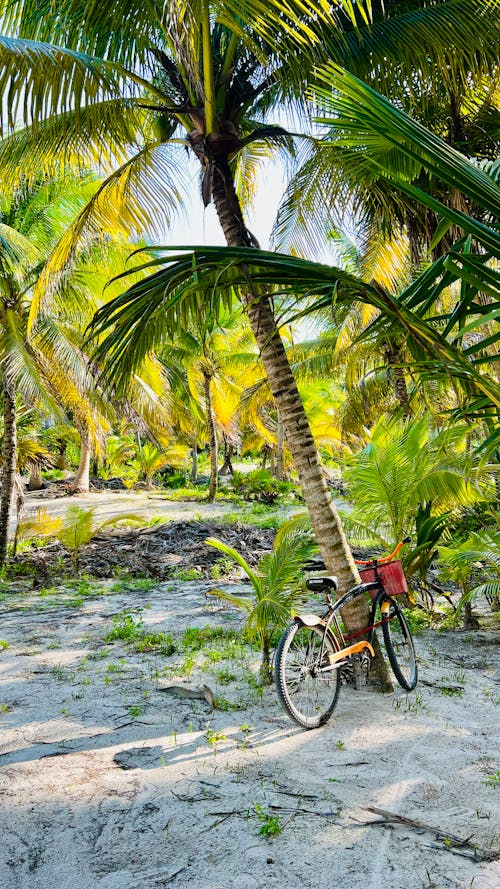 Bicycle at the beach