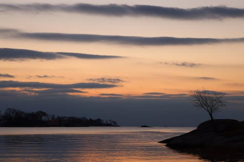 Gratis arkivbilde med innsjø, natur, rolig