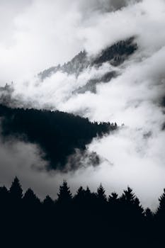 Dramatic misty mountain landscape with dense forest and clouds in monochrome.