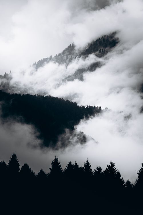 Free Dramatic misty mountain landscape with dense forest and clouds in monochrome. Stock Photo
