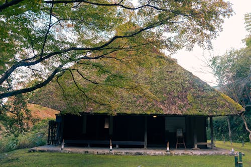 View of a Hut with Thatched Roof in a Park 