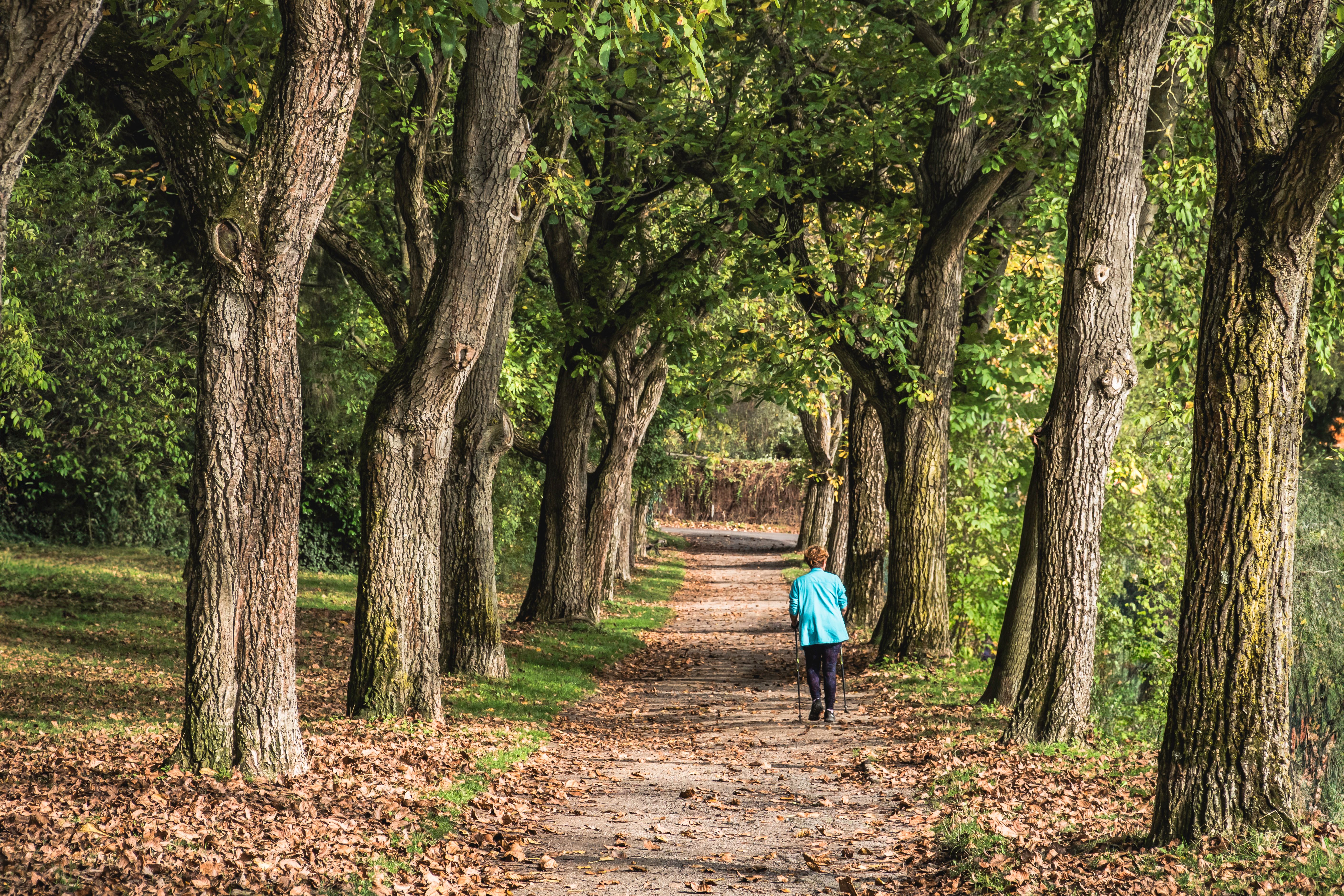 Healthspan White Paper: The Data-Driven Path to Longevity — Photo by Masood Aslami on Pexels