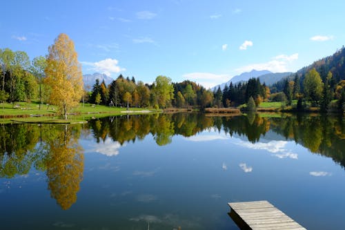 Wooden Pier on Lake in Autumn