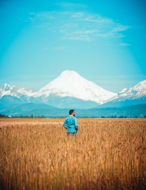 man and mountain in a paddy field