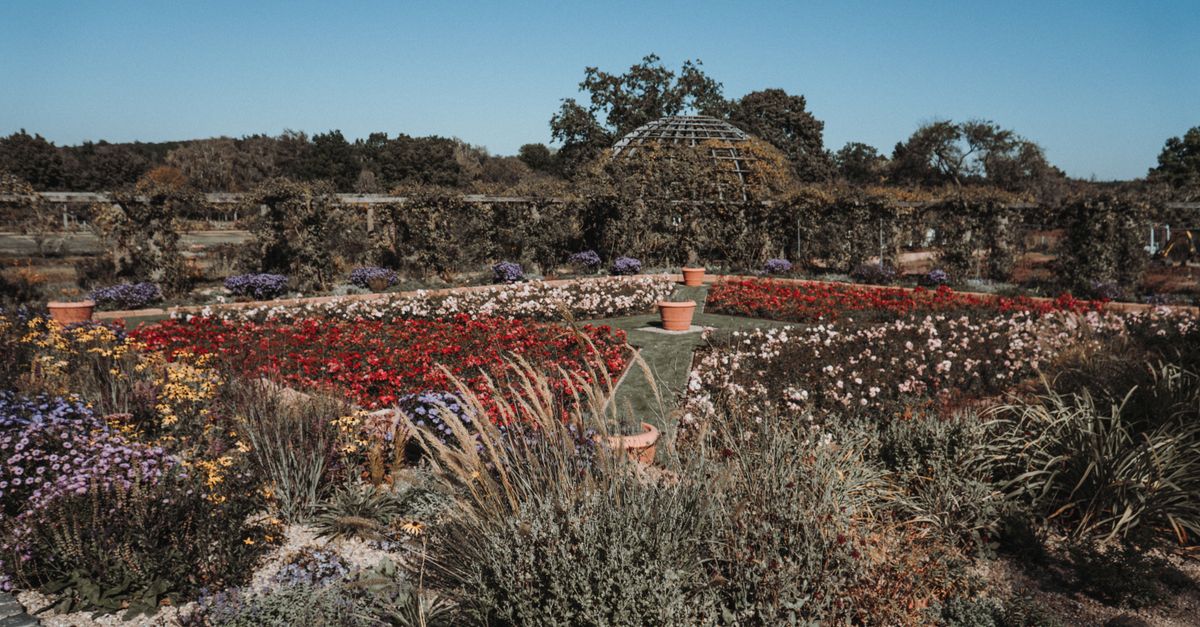 Les bienfaits du jardinage pour votre bien-être