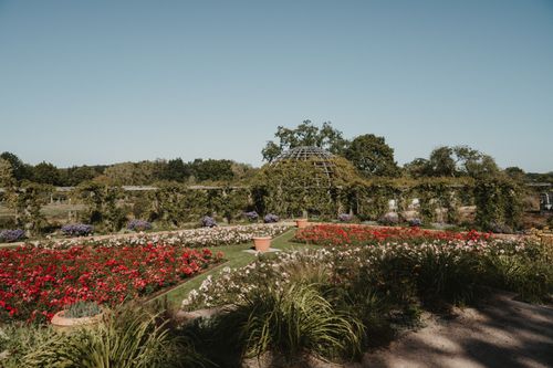 Jardin