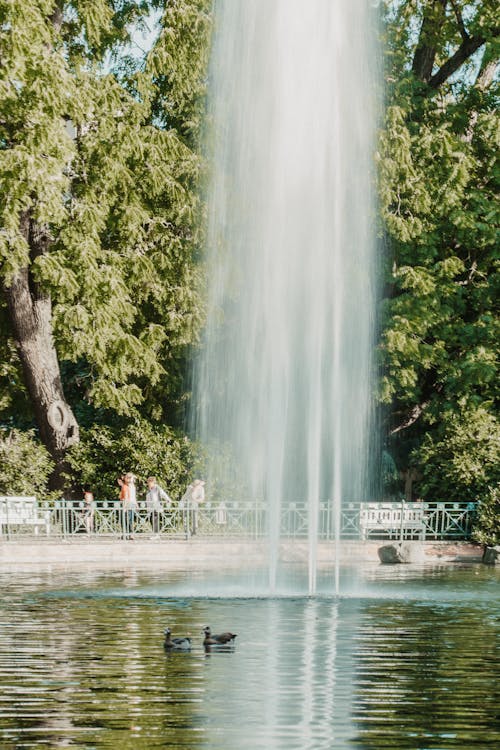 Fountain in a City Park 