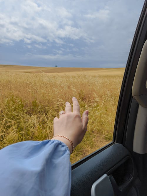 Woman Sticking Her Hand Out of a Car Window 