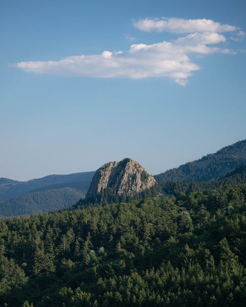 Fotos de stock gratuitas de bosque, formación de roca, foto con dron