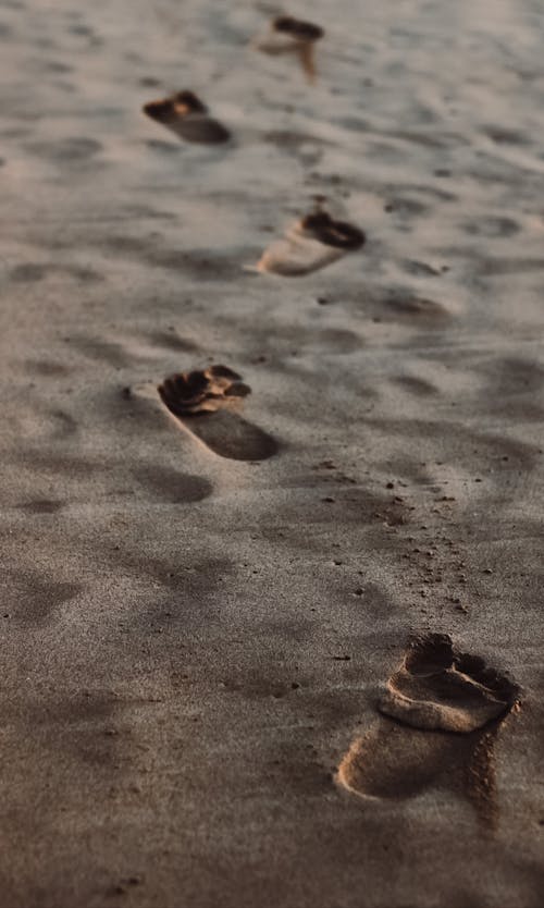 Fotobanka s bezplatnými fotkami na tému dno, odtlačky chodidiel, piesok