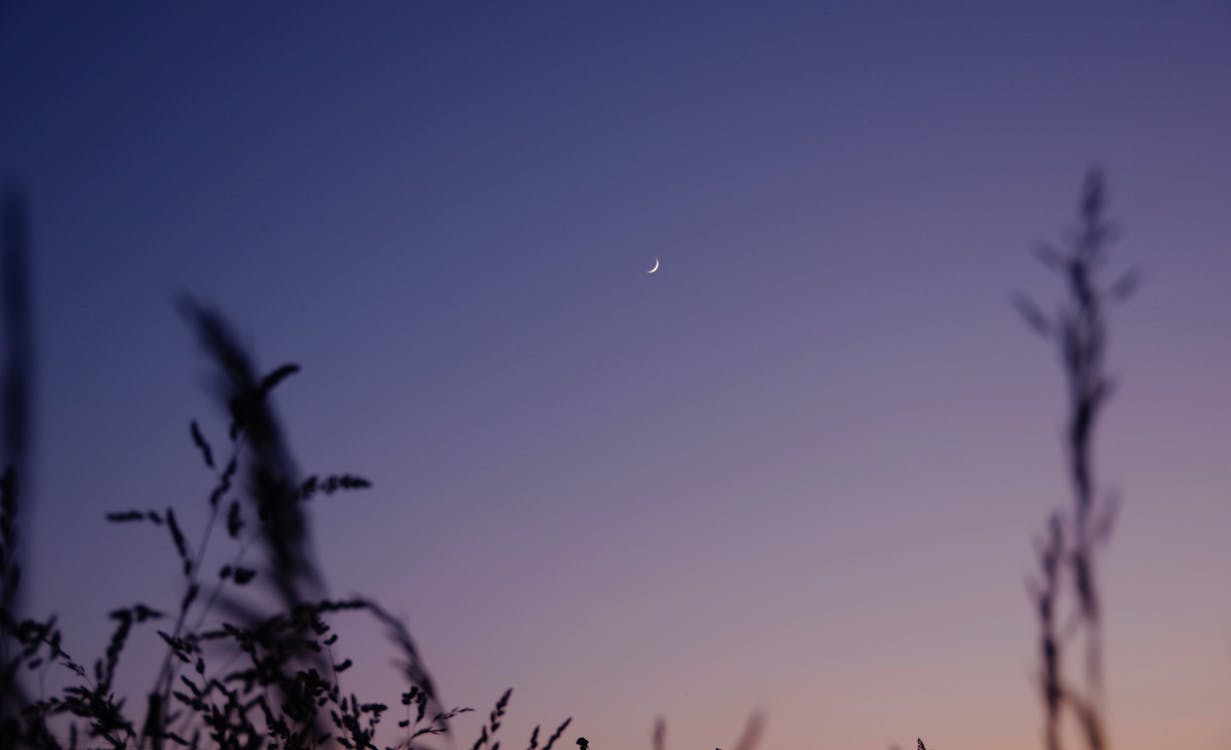 三日月, 日没, 紫色の空の無料の写真素材