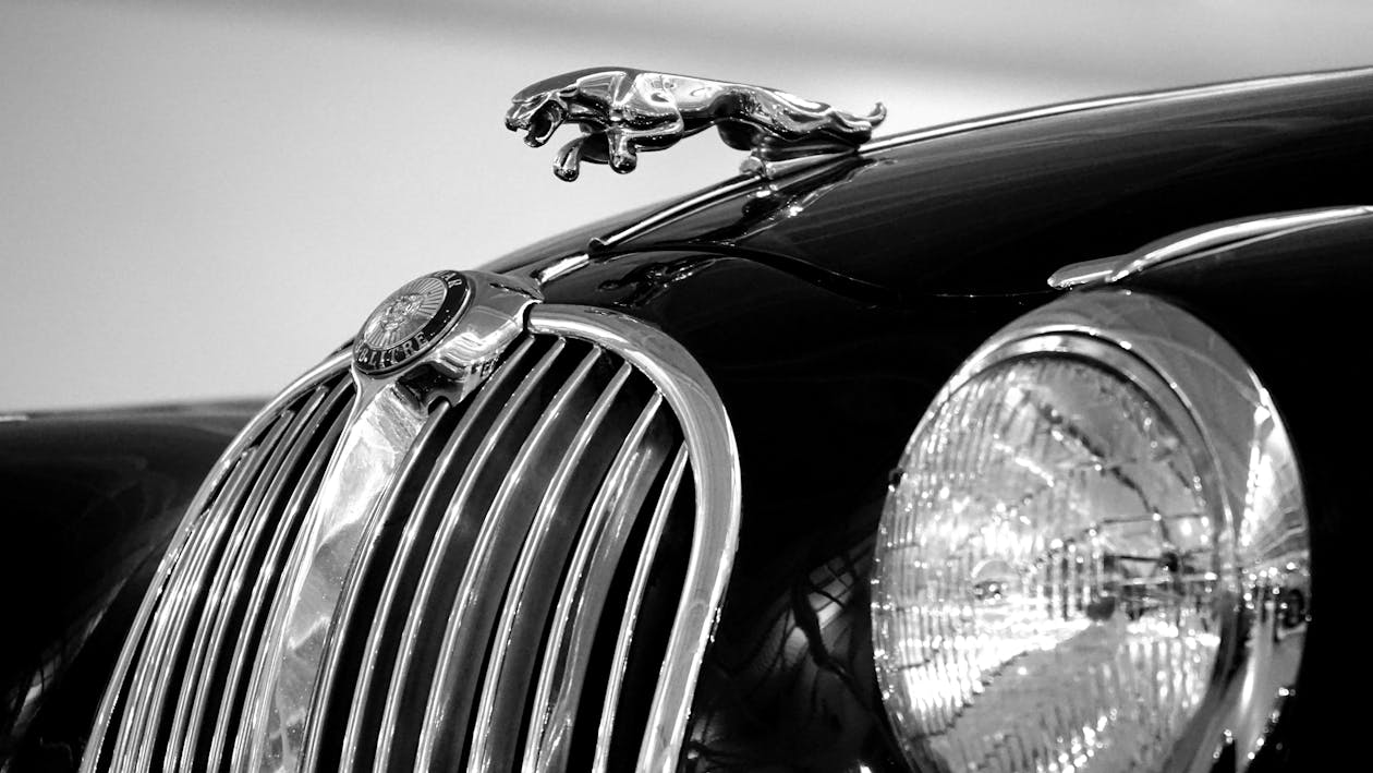 Free Jaguar Emblem on Black Car Stock Photo