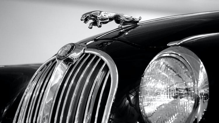 Jaguar Emblem On Black Car