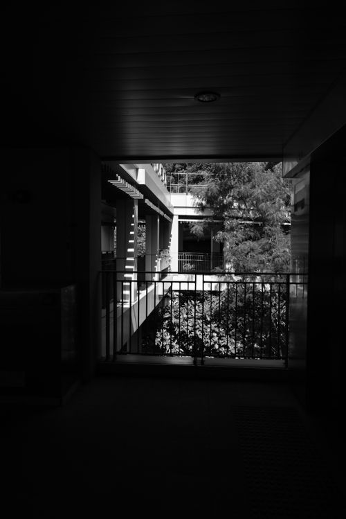Free Black and white photo of a building exterior with contrasting shadows and railings. Stock Photo
