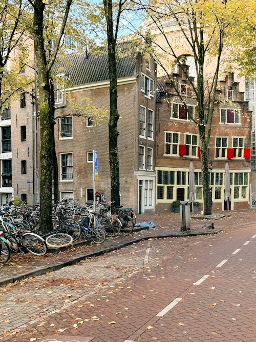 Základová fotografie zdarma na téma Amsterdam, jízdní kola, kola