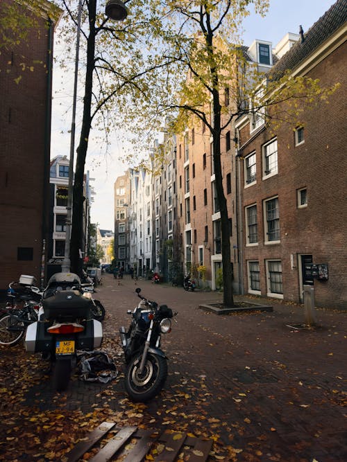Kostnadsfri bild av amsterdam, byggnader, fordon