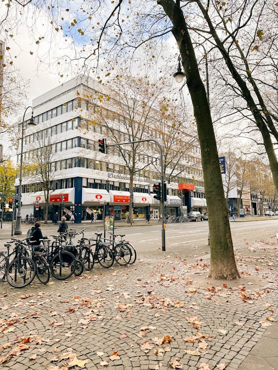 View of a City in Autumn 